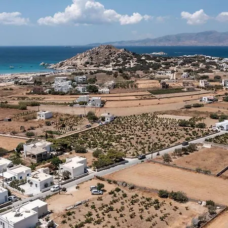 Grevillea Villa Mikri Vigla