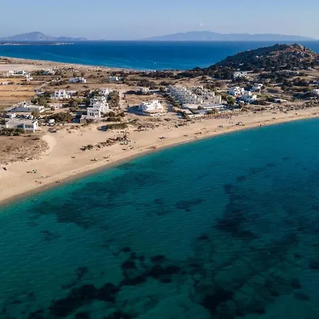 Grevillea Mikri Vigla