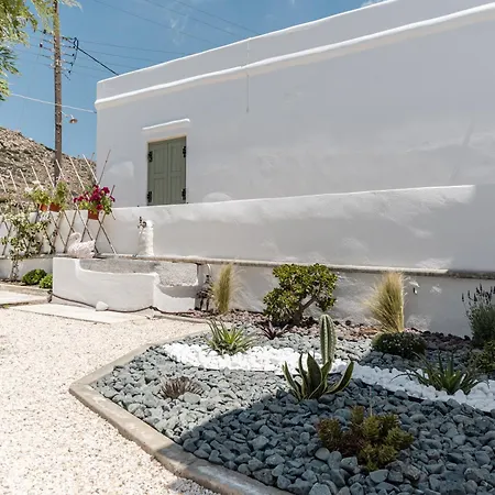 Grevillea * Mikri Vigla