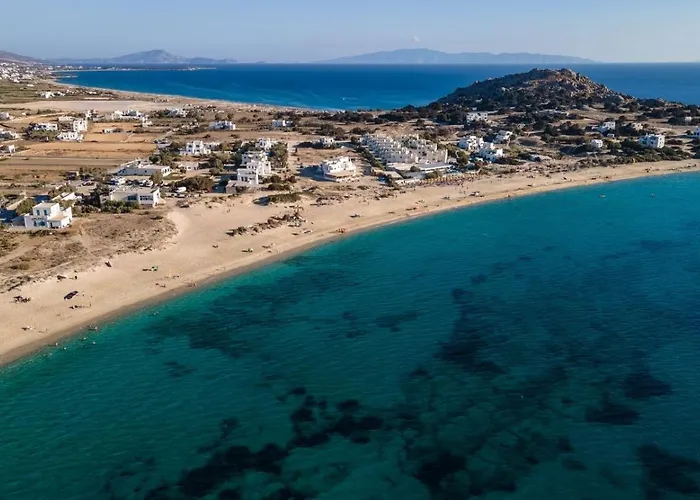 Grevillea Mikri Vigla