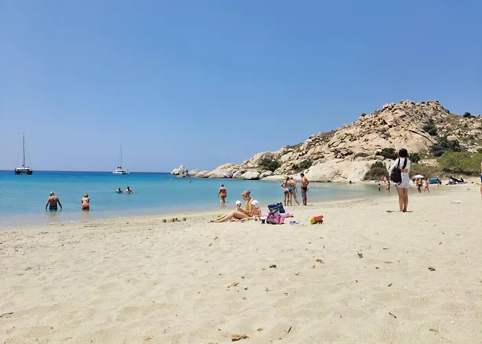 Grevillea * Mikri Vigla