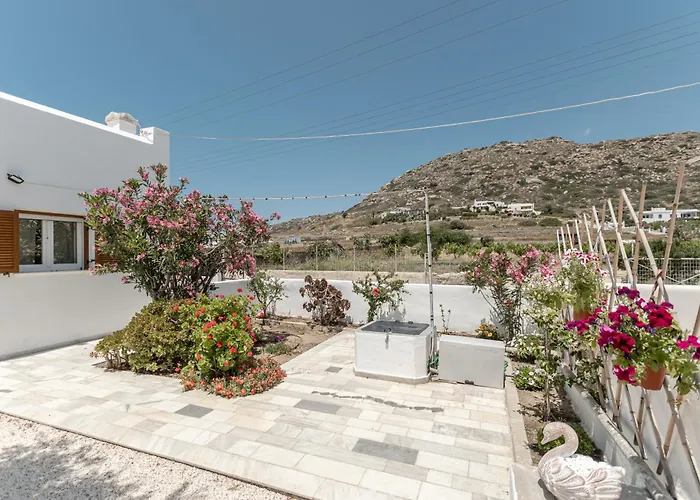 Grevillea Mikri Vigla