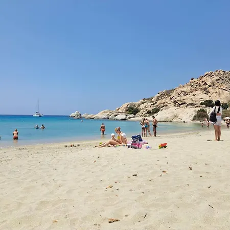 Grevillea * Mikri Vigla