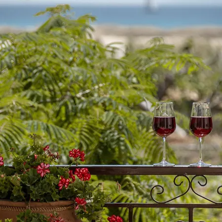 Grevillea Villa Mikri Vigla